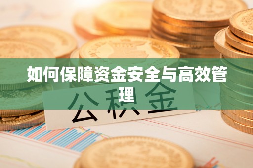 阜南如何保障资金安全与高效管理