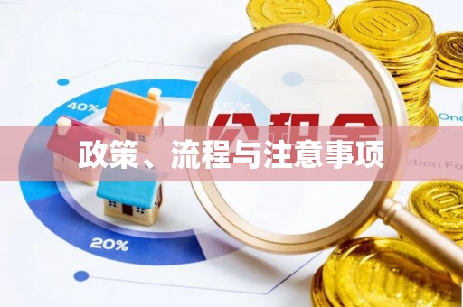 阜南政策、流程与注意事项