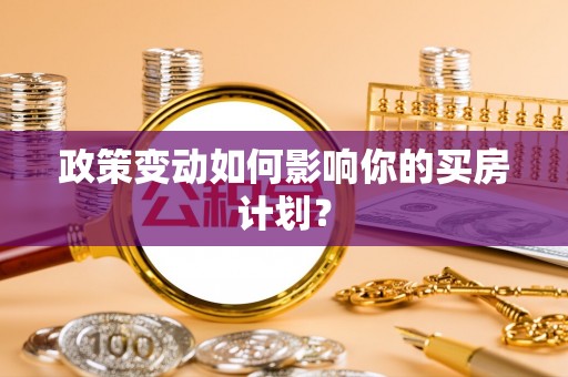 阜南政策变动如何影响你的买房计划？