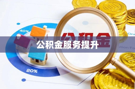 阜南公积金服务提升