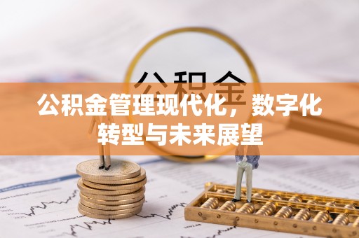 阜南公积金管理现代化，数字化转型与未来展望
