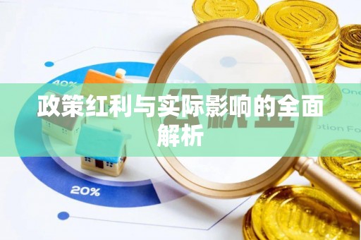 阜南政策红利与实际影响的全面解析