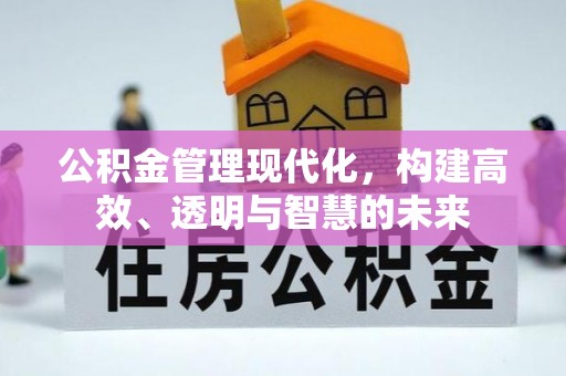 阜南公积金管理现代化，构建高效、透明与智慧的未来