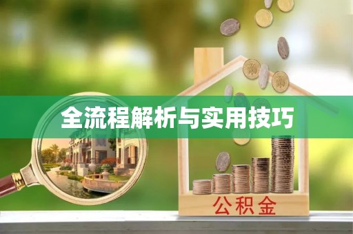 阜南全流程解析与实用技巧