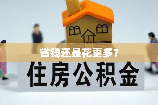 阜南省钱还是花更多？