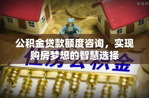 阜南公积金贷款额度咨询，实现购房梦想的智慧选择