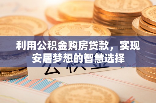 阜南利用公积金购房贷款，实现安居梦想的智慧选择