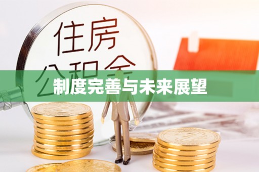 阜南制度完善与未来展望