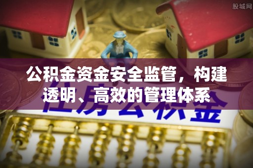 阜南公积金资金安全监管，构建透明、高效的管理体系