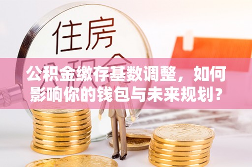 阜南公积金缴存基数调整，如何影响你的钱包与未来规划？