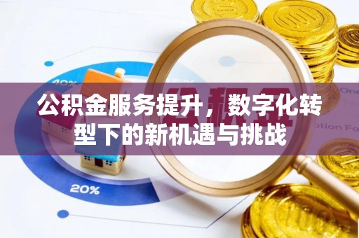 阜南公积金服务提升，数字化转型下的新机遇与挑战