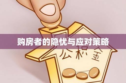 阜南购房者的隐忧与应对策略