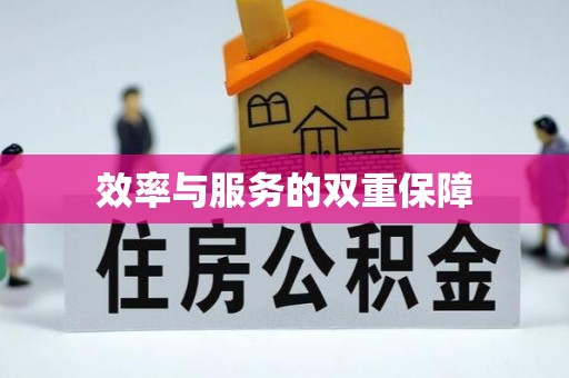 阜南效率与服务的双重保障