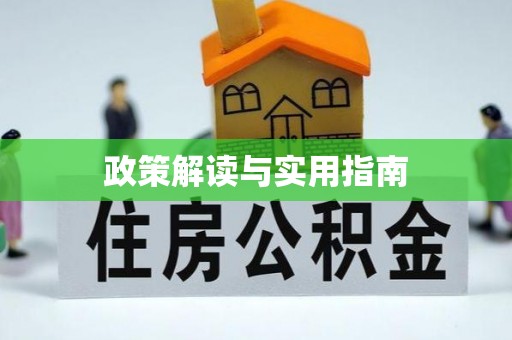 阜南政策解读与实用指南