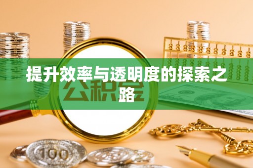 阜南提升效率与透明度的探索之路