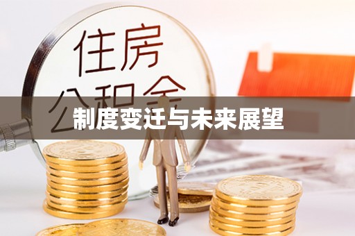 阜南制度变迁与未来展望