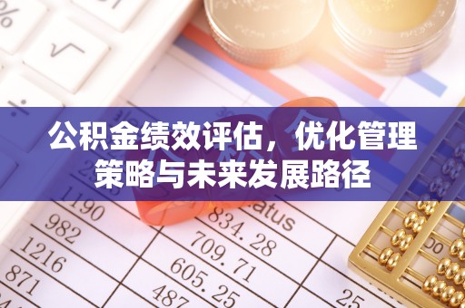 阜南公积金绩效评估，优化管理策略与未来发展路径