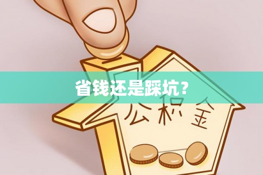 阜南省钱还是踩坑？