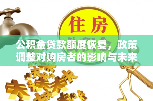阜南公积金贷款额度恢复，政策调整对购房者的影响与未来展望