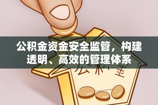 阜南公积金资金安全监管，构建透明、高效的管理体系