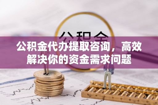 阜南公积金代办提取咨询，高效解决你的资金需求问题