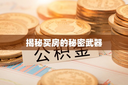 阜南揭秘买房的秘密武器