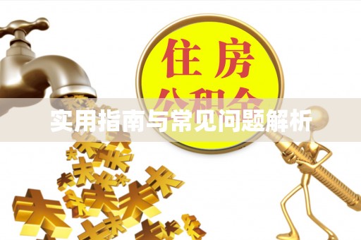 阜南实用指南与常见问题解析