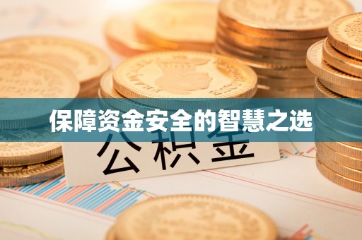 阜南保障资金安全的智慧之选