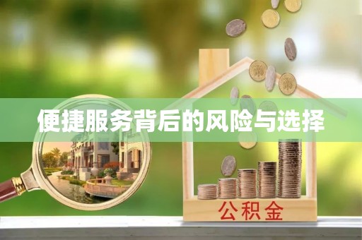 阜南便捷服务背后的风险与选择