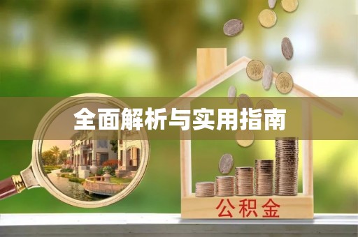阜南全面解析与实用指南