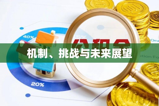 阜南机制、挑战与未来展望