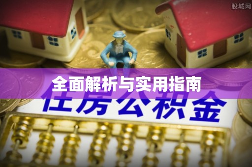 阜南全面解析与实用指南